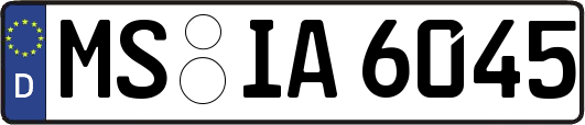 MS-IA6045
