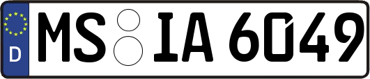 MS-IA6049