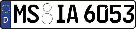 MS-IA6053