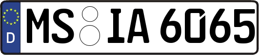 MS-IA6065