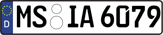 MS-IA6079