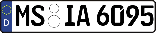 MS-IA6095
