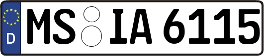 MS-IA6115