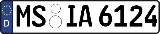 MS-IA6124