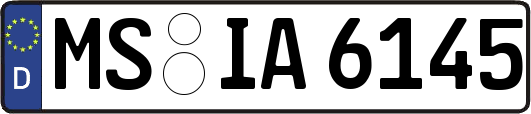 MS-IA6145