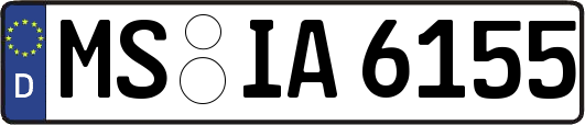 MS-IA6155