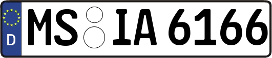 MS-IA6166