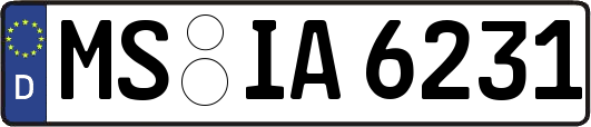 MS-IA6231