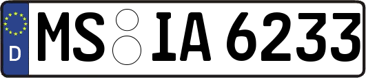 MS-IA6233