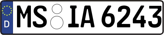 MS-IA6243