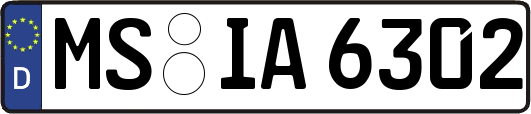MS-IA6302