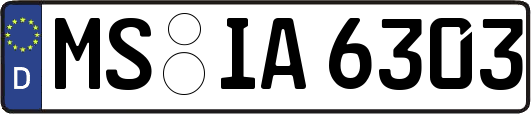 MS-IA6303