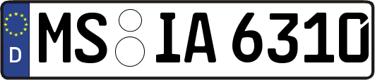 MS-IA6310