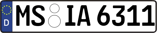 MS-IA6311