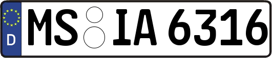 MS-IA6316