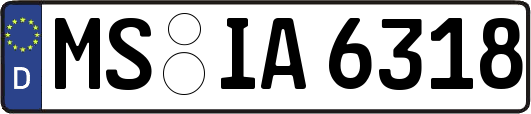 MS-IA6318