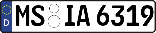 MS-IA6319