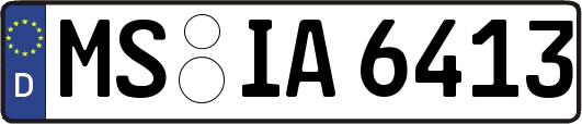 MS-IA6413