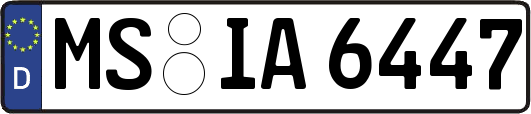 MS-IA6447