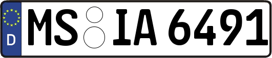 MS-IA6491