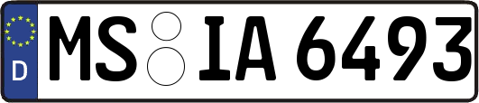MS-IA6493