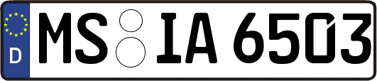 MS-IA6503