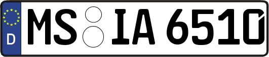 MS-IA6510