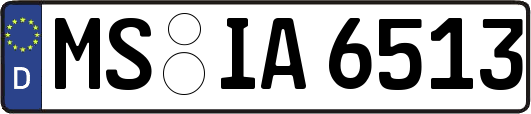 MS-IA6513