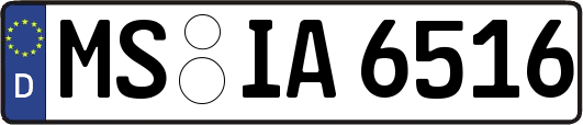 MS-IA6516