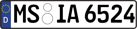 MS-IA6524