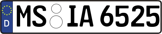 MS-IA6525