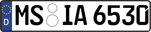MS-IA6530