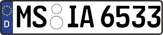 MS-IA6533