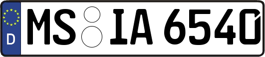 MS-IA6540