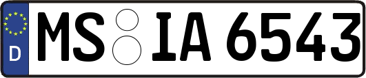 MS-IA6543