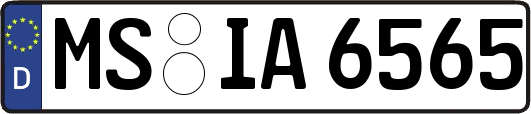 MS-IA6565