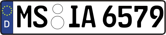 MS-IA6579