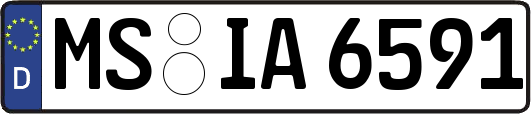 MS-IA6591