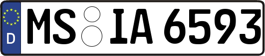 MS-IA6593