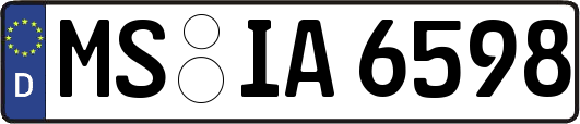 MS-IA6598