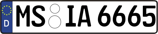 MS-IA6665