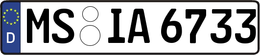MS-IA6733