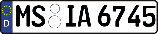 MS-IA6745