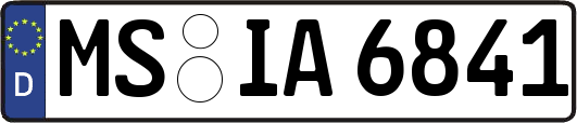 MS-IA6841