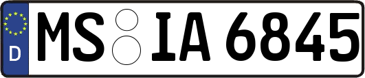 MS-IA6845