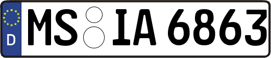 MS-IA6863