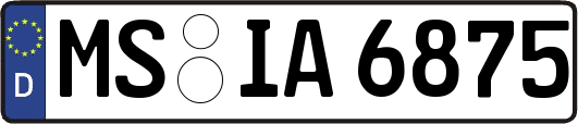 MS-IA6875