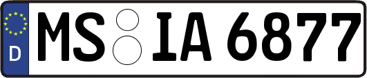 MS-IA6877