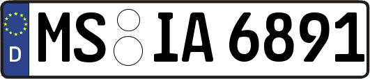 MS-IA6891