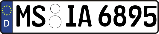 MS-IA6895